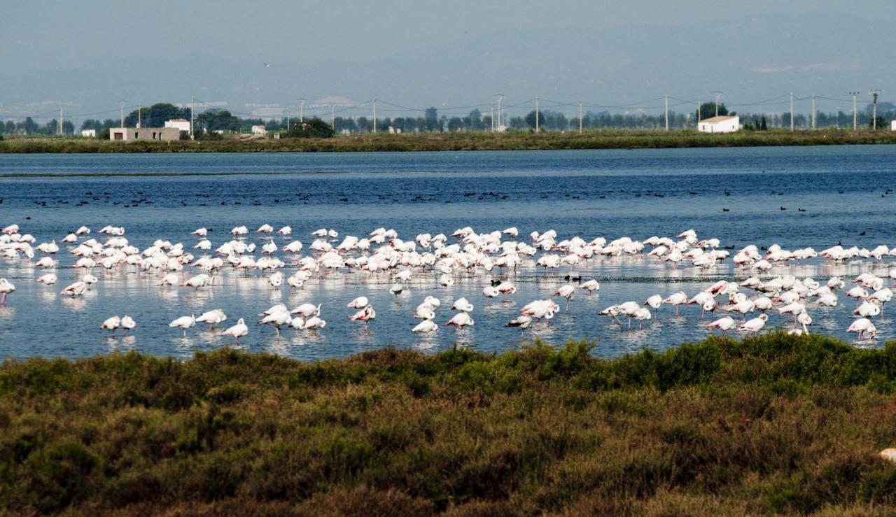 Los Pelicanos ميامي بلاتجا المظهر الخارجي الصورة